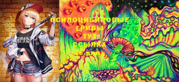 соль ск Алексеевка