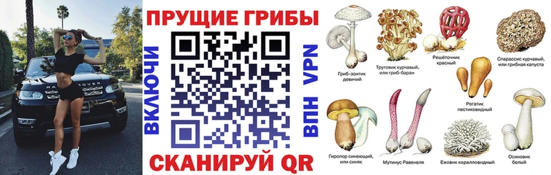 магазин    дарк нет клад  Галлюциногенные грибы ЛСД  Дедовск 