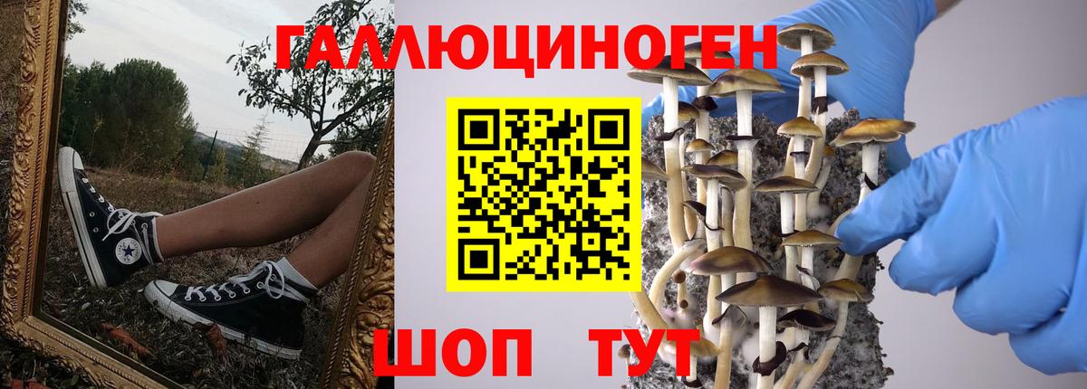 Псилоцибиновые грибы ЛСД  Галлюциногенные грибы GOLDEN TEACHER  Вход с VPN  Дедовск 