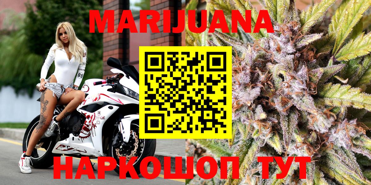 Каннабис планчик Дедовск